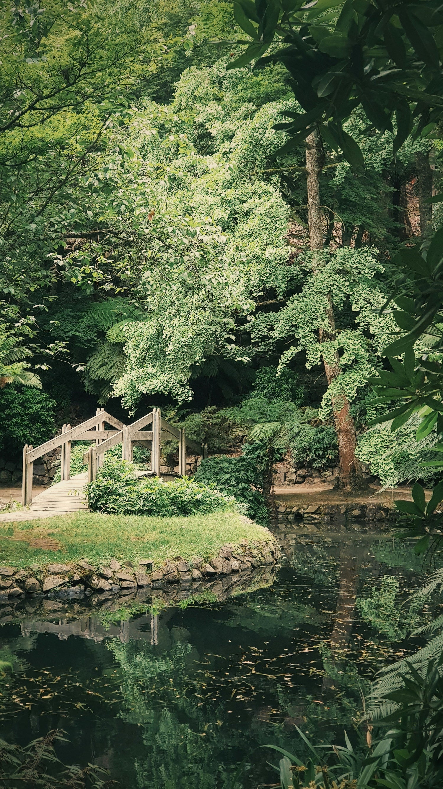 Bridge over a lake